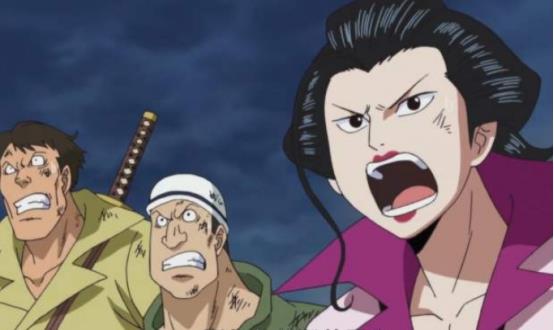 哈喽,喜欢海贼王的各位观众朋友们大家好,自从知道阿菊是男人后,许多