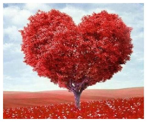 心理测试:哪一棵心形树代表你的心,测你是内在美还是外在美
