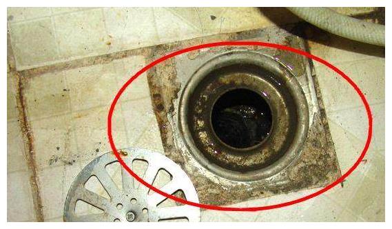 卫生间"地漏"反味发臭?老师傅教你一招,让家不再臭熏熏!