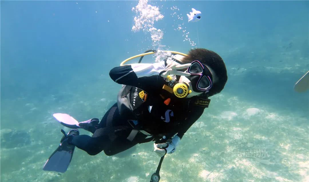 漫蓝潜水携手秋秋厨房开启薄荷岛奢华之旅|马尼拉|薄荷|薄荷岛_新浪网