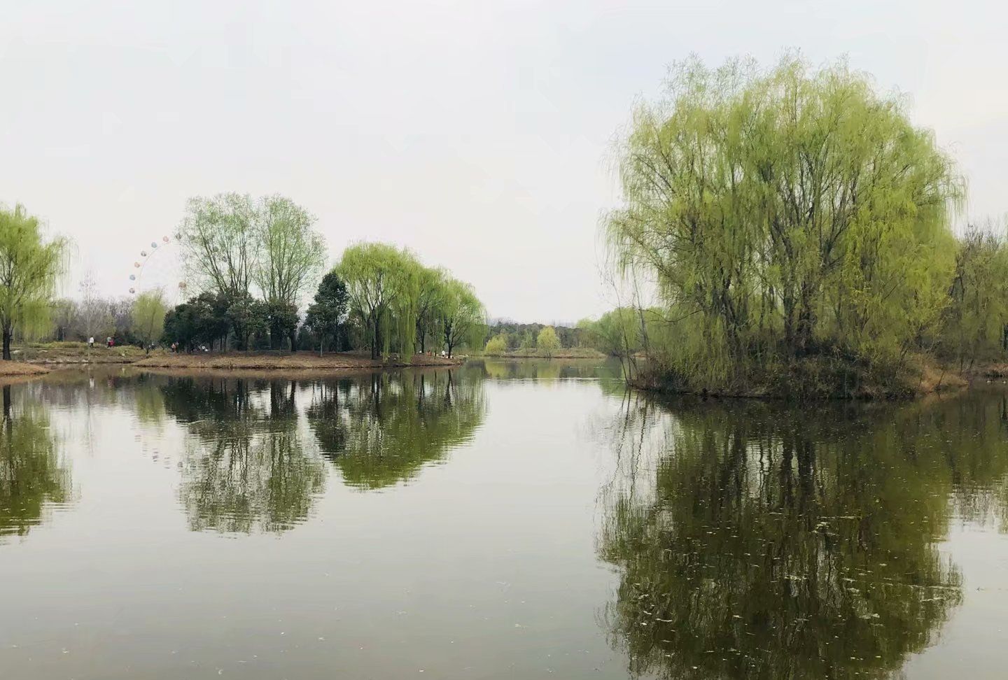 绿水,绿柳,满眼的绿色.游人如织,青青柳色新.