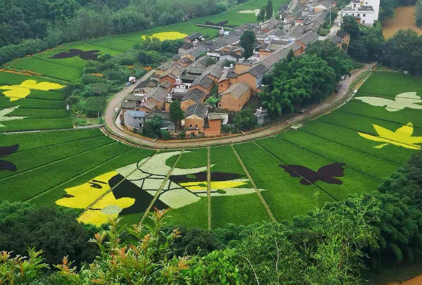 绿水青山美丽乡村 河湾村位于耿家营集镇北部