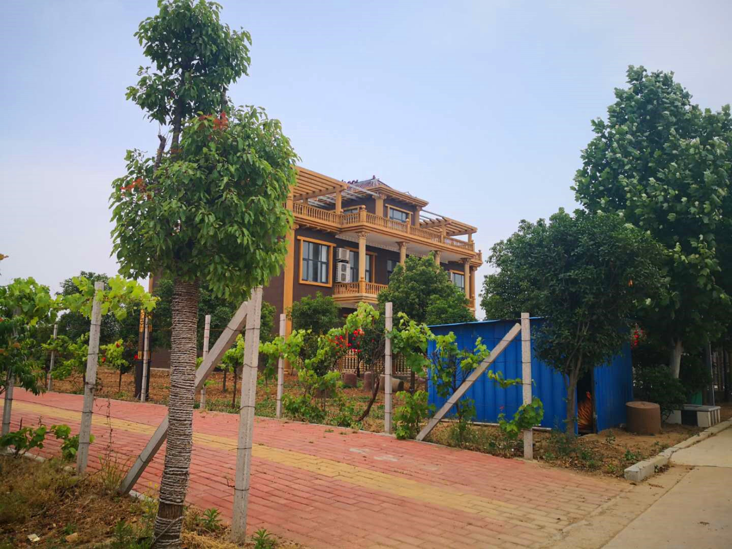 羡慕,叶县一个山头上的古寨里一套别墅被百亩果园环绕