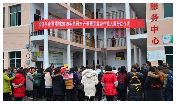 酉阳金家坝:村民入股分红 百姓喜笑颜开