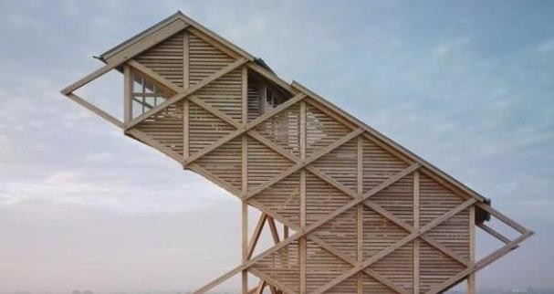 最具潜力的木结构板材:正交胶合板