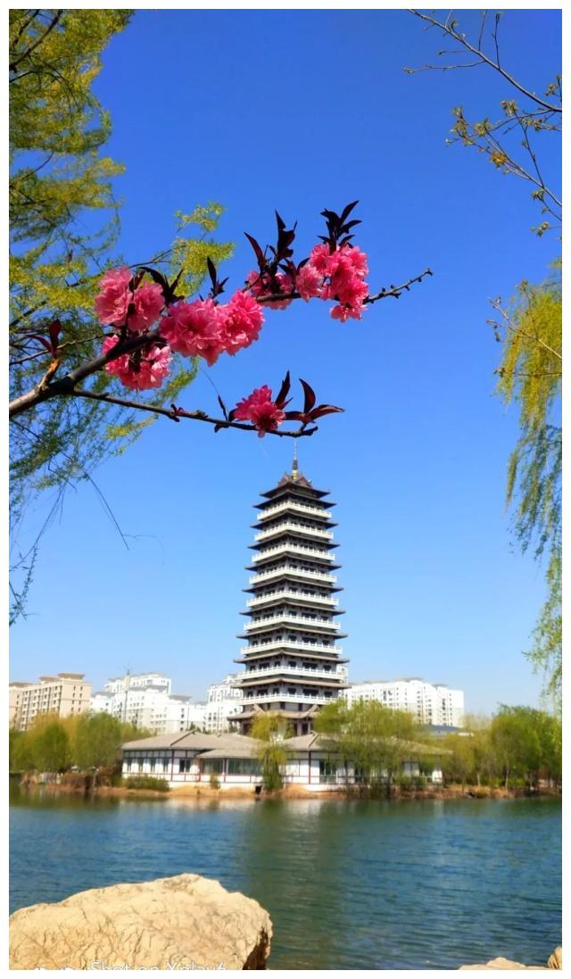 春天里的临漳七子湖,天蓝水碧,风景秀丽