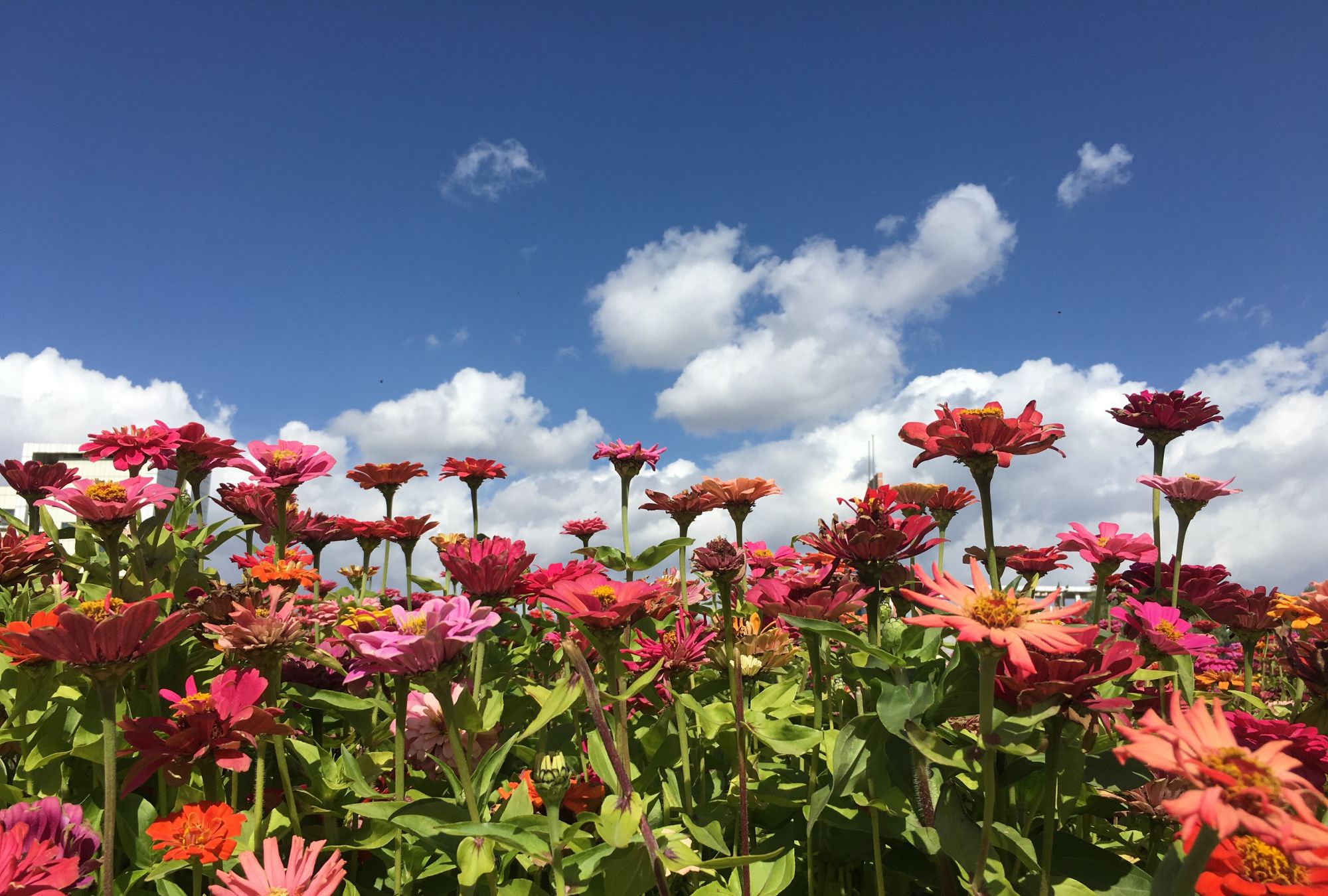 青海——一座浪漫又有温度的城市