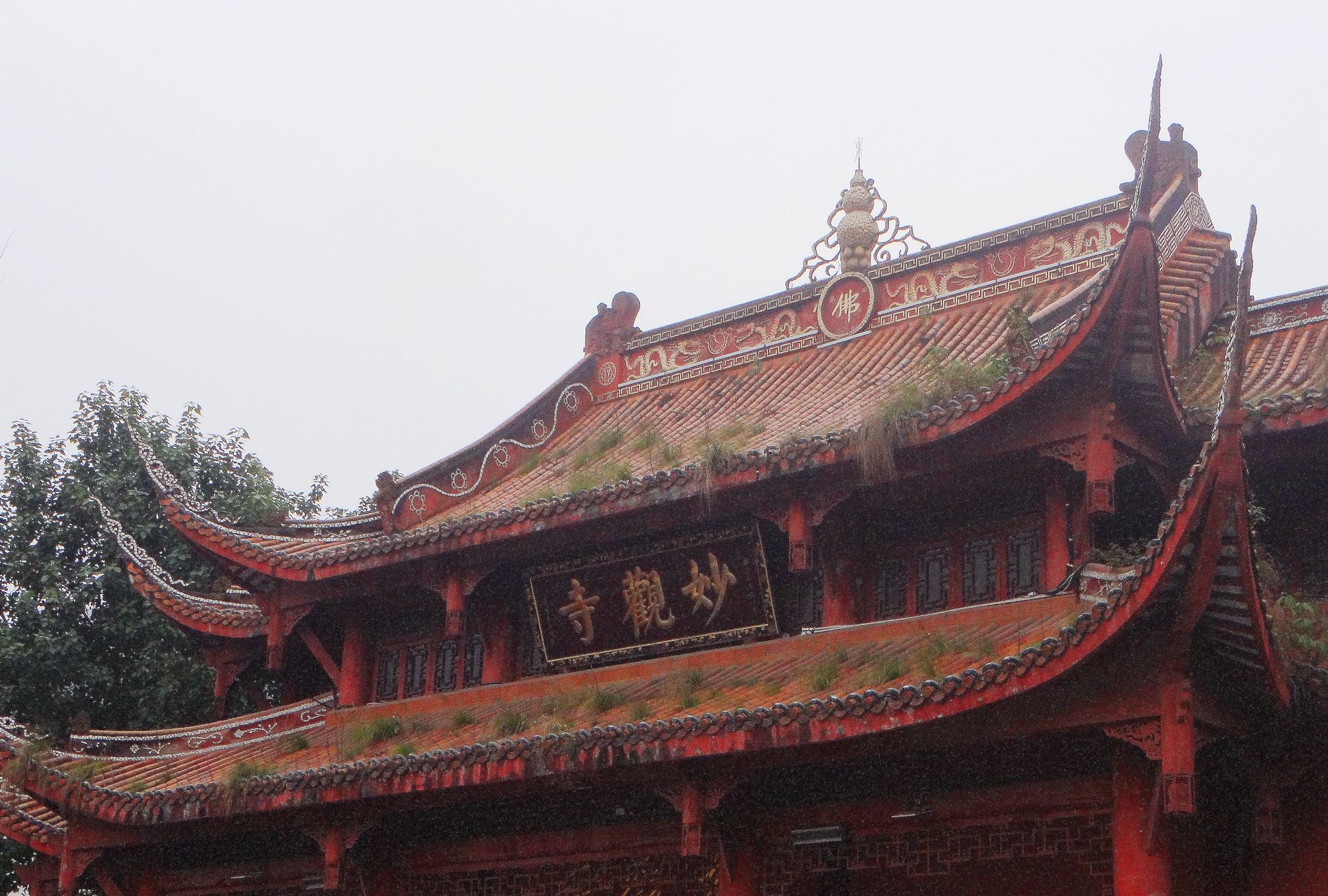 甘祚成自贡之旅:走进城中闹市区的清净圣地-妙观寺最新拍摄