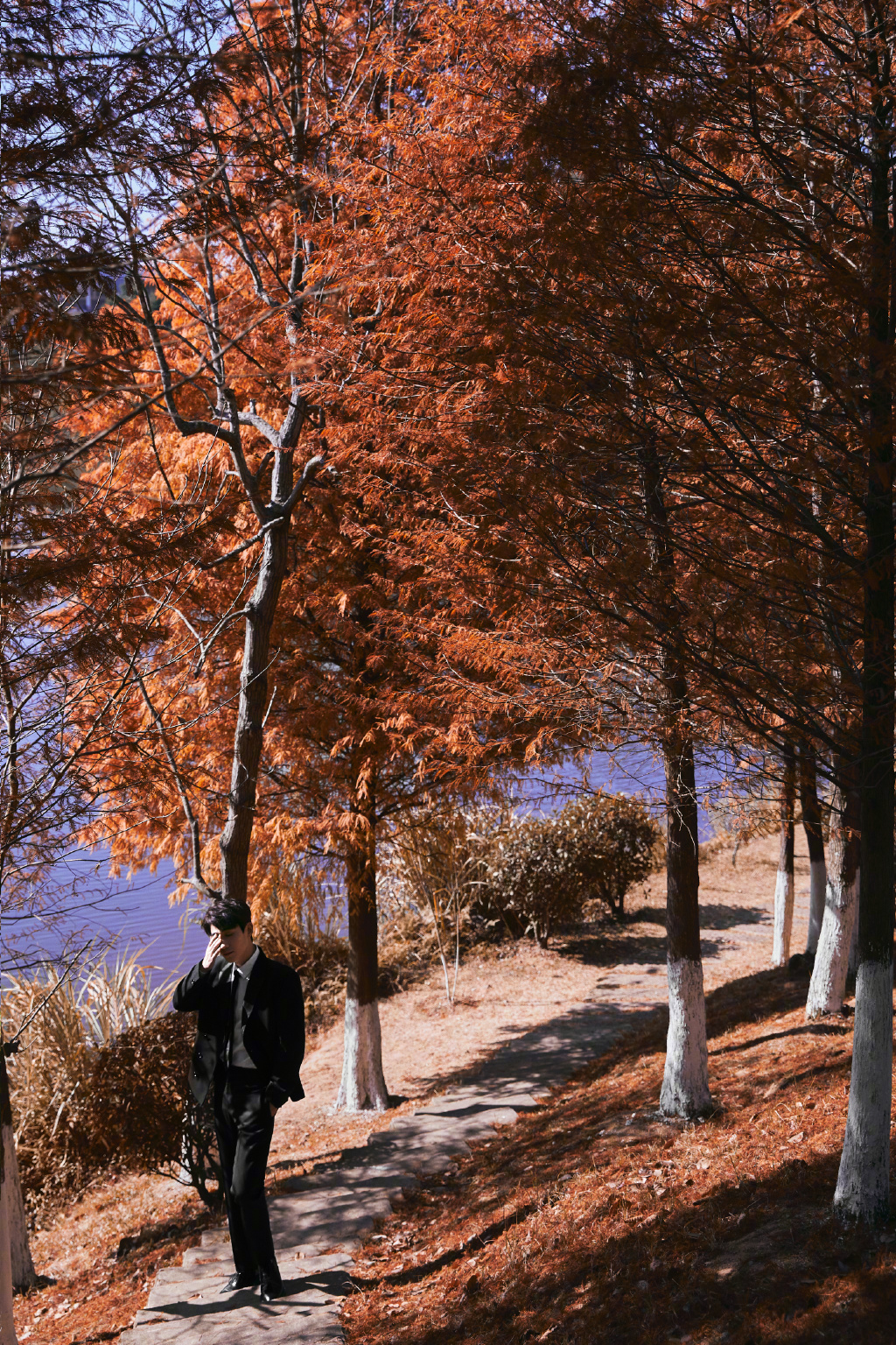 朱一龙斑驳光影山林写真|朱一龙|山林|写真_新浪新闻