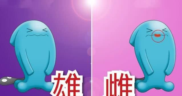 精灵宝可梦:宝可梦还有雌雄?皮卡丘看尾巴,果然翁变如花?