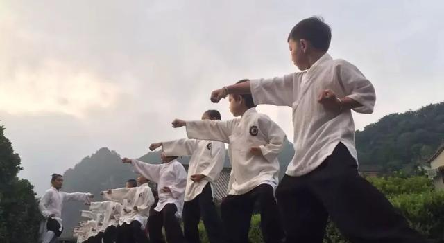 “武术练人”还是“人练武术”?|武术|内家拳|入门_新浪新闻