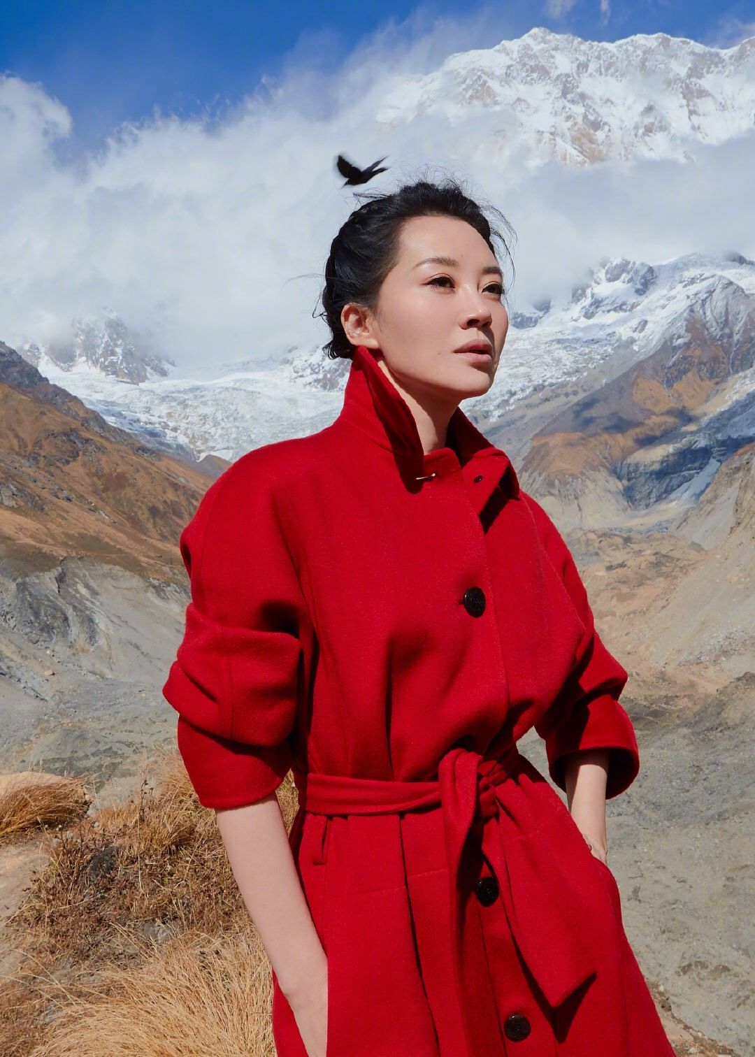 这些45岁以上的女明星,你最喜欢谁?