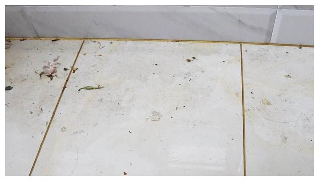 教你个拖地的好妙招,多撒这两样,轻松去油渍让厨房地板恢复干净.