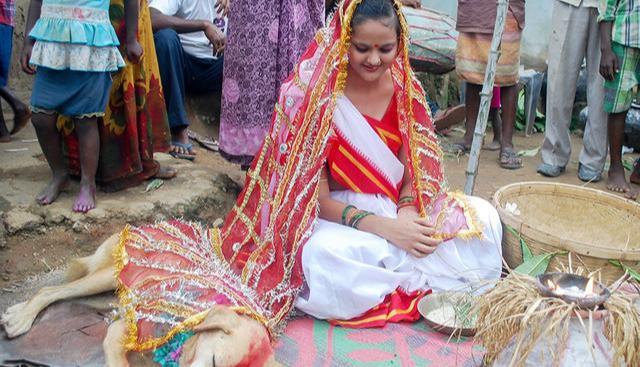 Indian woman forced to marry dog man to marry cow to be wife