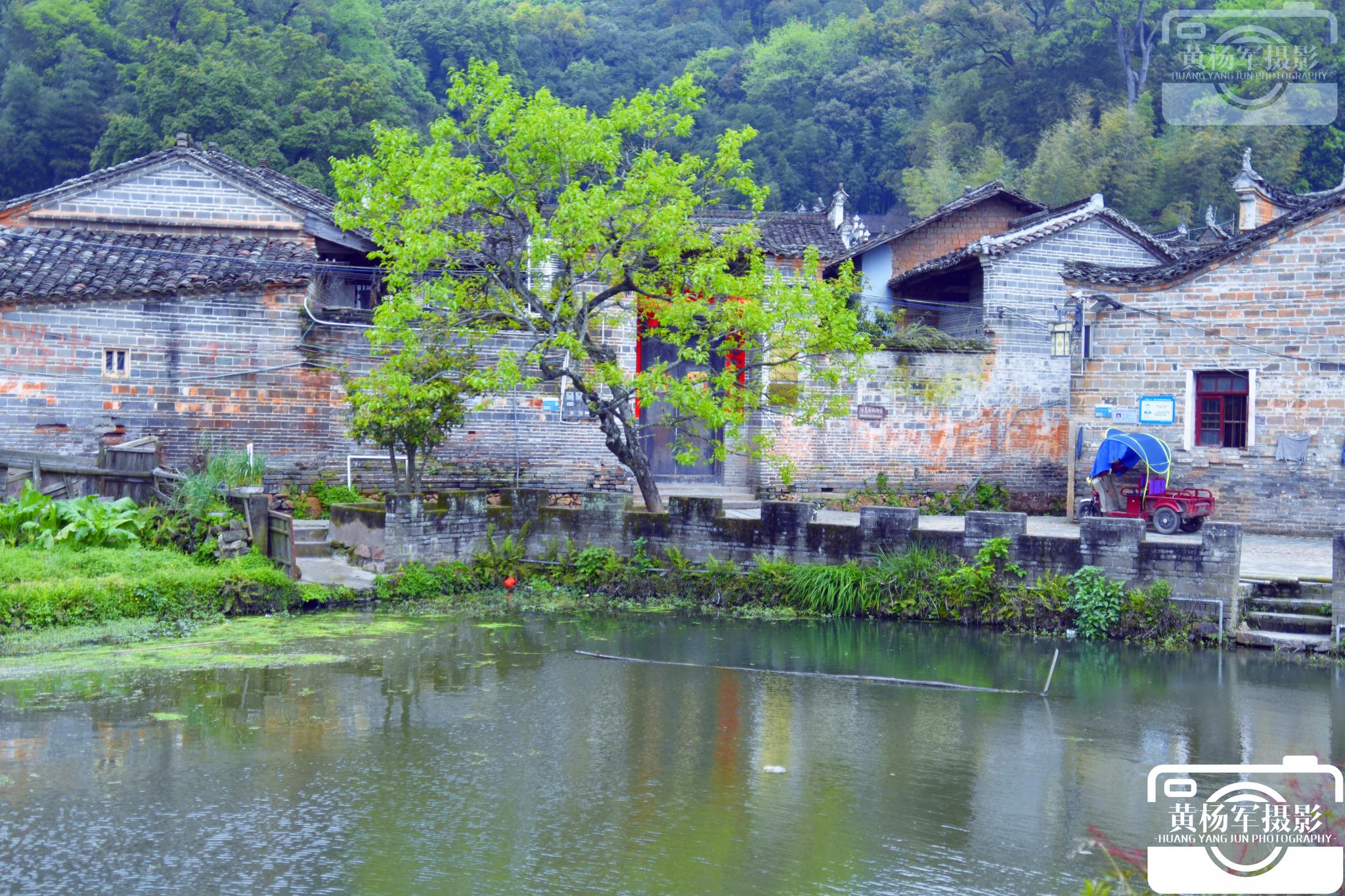 发现赣县区白鹭古村绿意间古建筑的古韵味