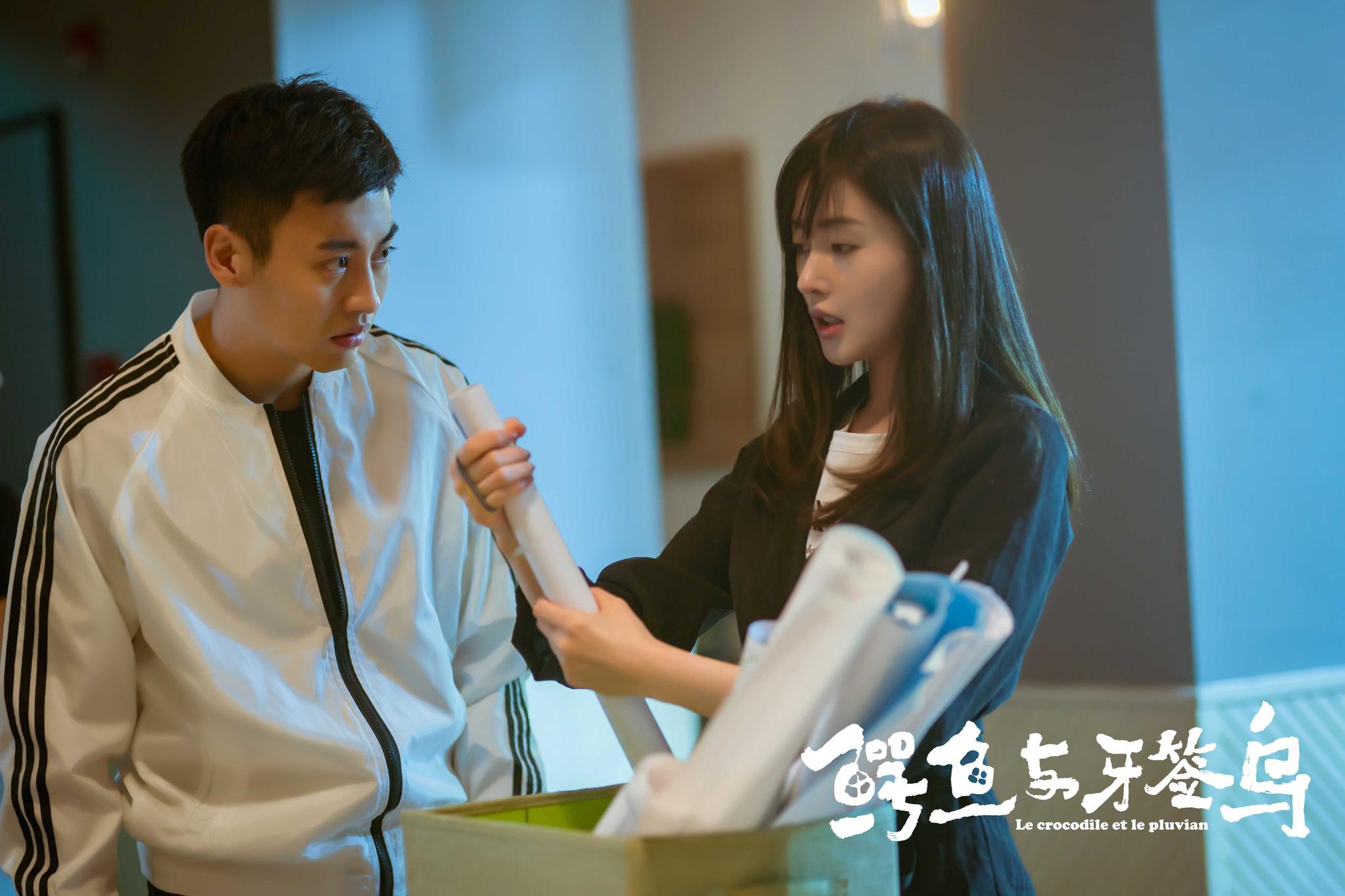 鳄鱼与牙签鸟热播刘凯获赞中国好哥哥