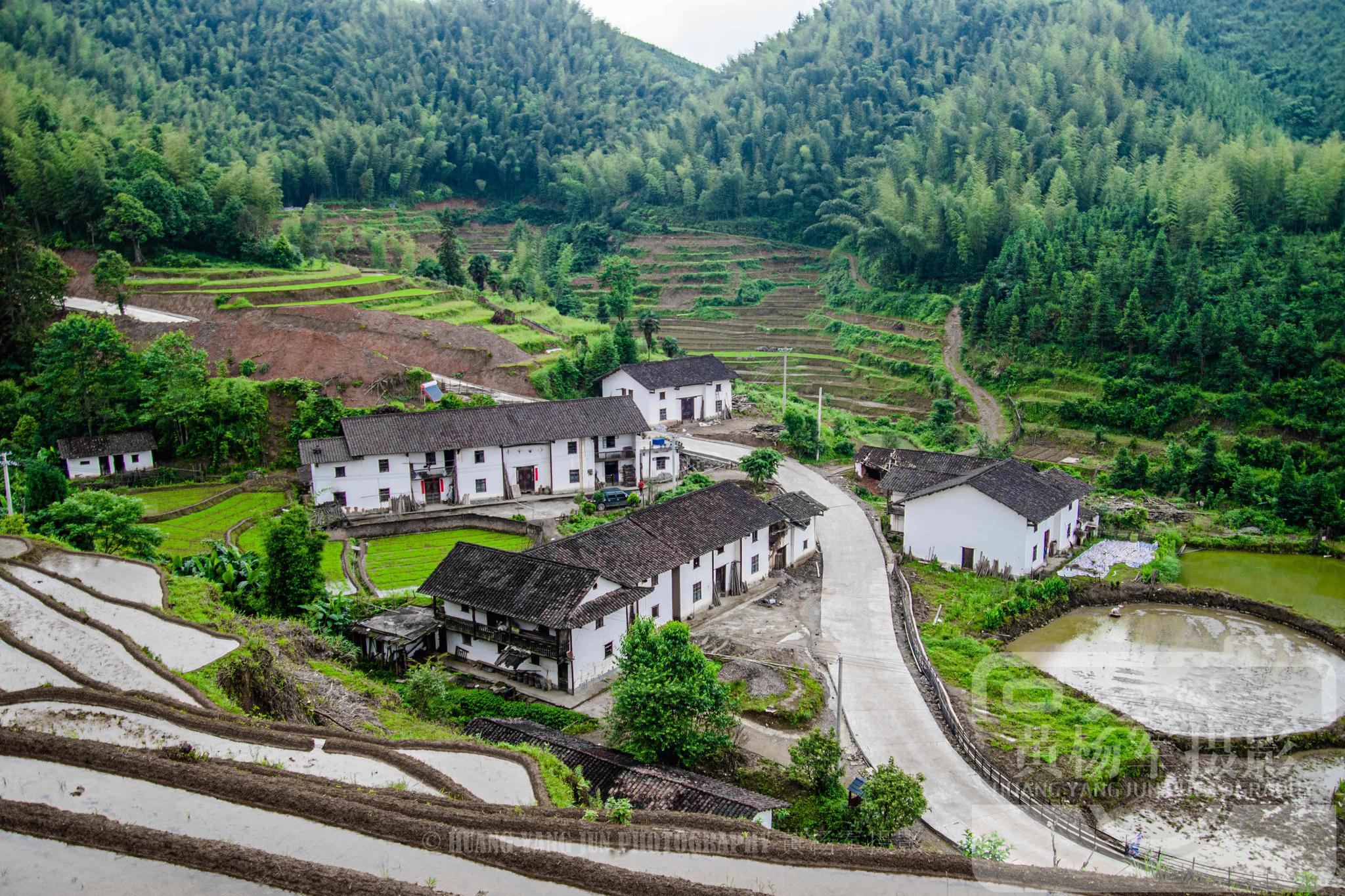 江西崇义县上堡梯田的乡村风光,绵延的水田葱翠的山林景色如画_高清