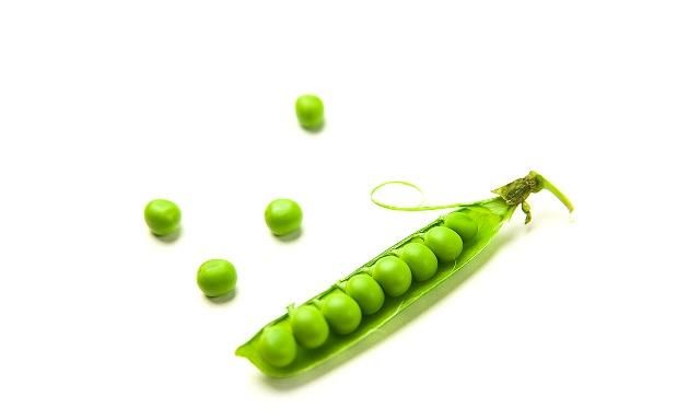 豌豆荚中躺着一粒粒小豆子,每一粒都含有丰富的营养物质