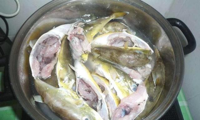 南方人俗称它为"乖鱼"带有剧毒,却依然有人不顾生命危险去吃它