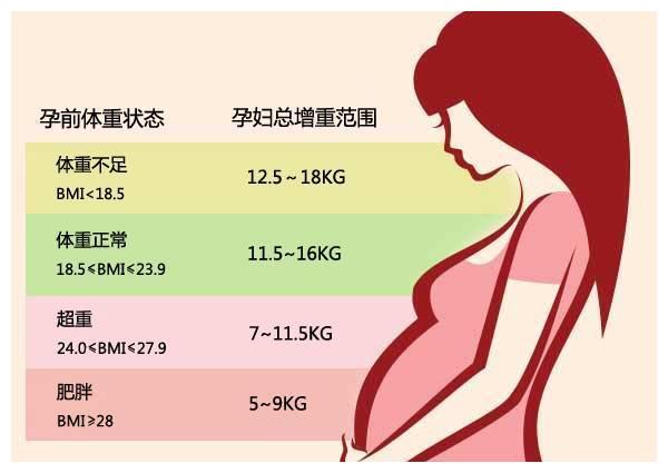 孕期体重管理曲线图图片