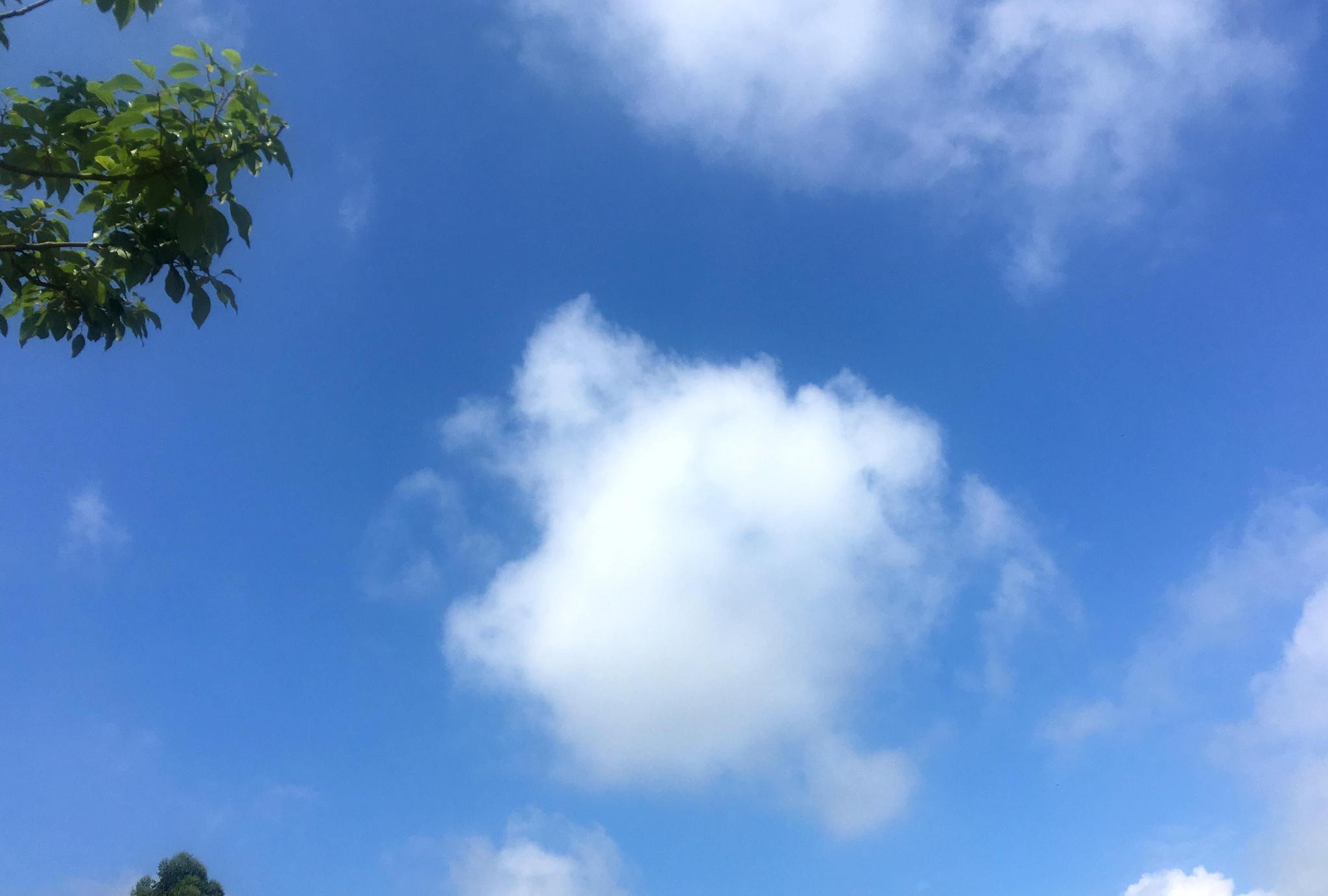 父亲节,成都这朵从小仙女逐渐魔化的云朵,你看到了吗?