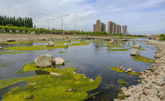 休闲好去处!库尔勒市杜鹃河生态湿地公园美景入画来