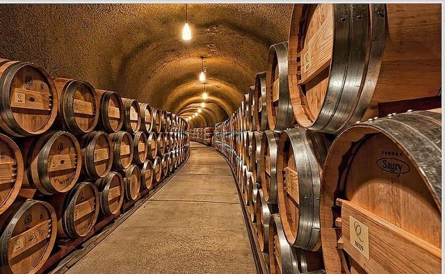 5000年前的啤酒，不知道喝了是什么感受？