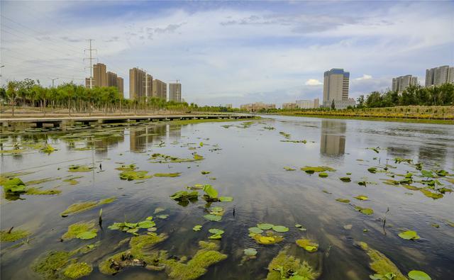 休闲好去处!库尔勒市杜鹃河生态湿地公园美景入画来