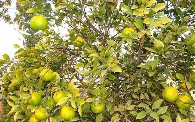 小城安仁风韵多,欢迎你到安仁来