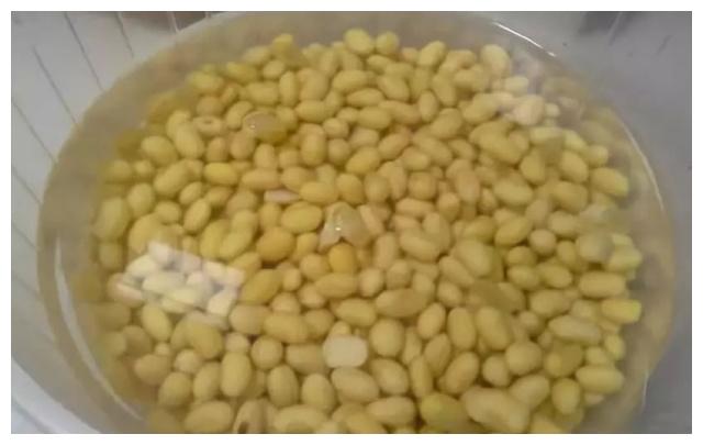 奶奶自己在家发豆芽的妙招 只需两步 太简单了!