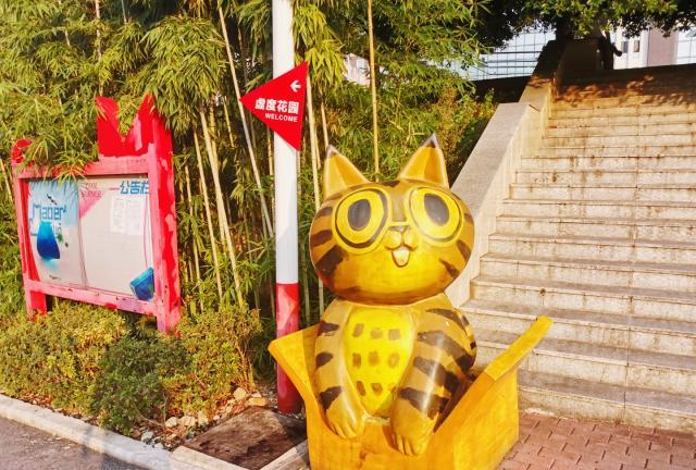 打卡重庆网红景点喵儿石曾经人气堪比贰厂如今却少有人来