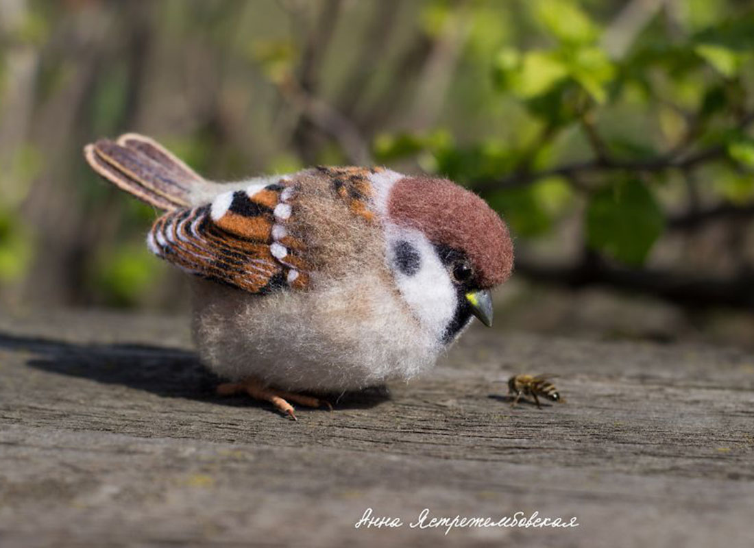 图为用羊毛毡制作的小麻雀.