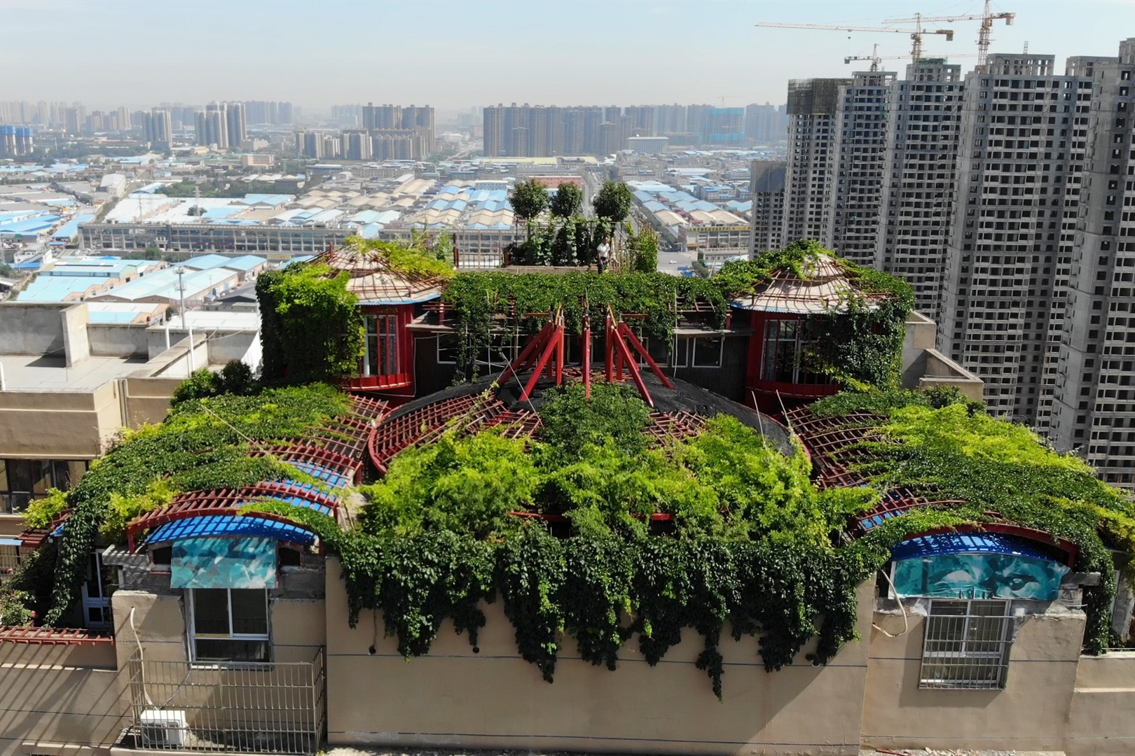 是拆除帽珥冢小区的高空违建,那个名声在外的百万空中花园