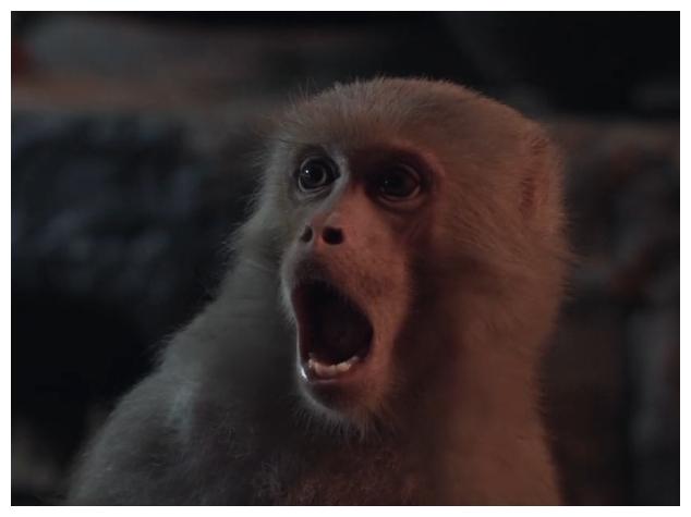 诛仙神猴与神狗用实力抢镜笑点满满你们给几分