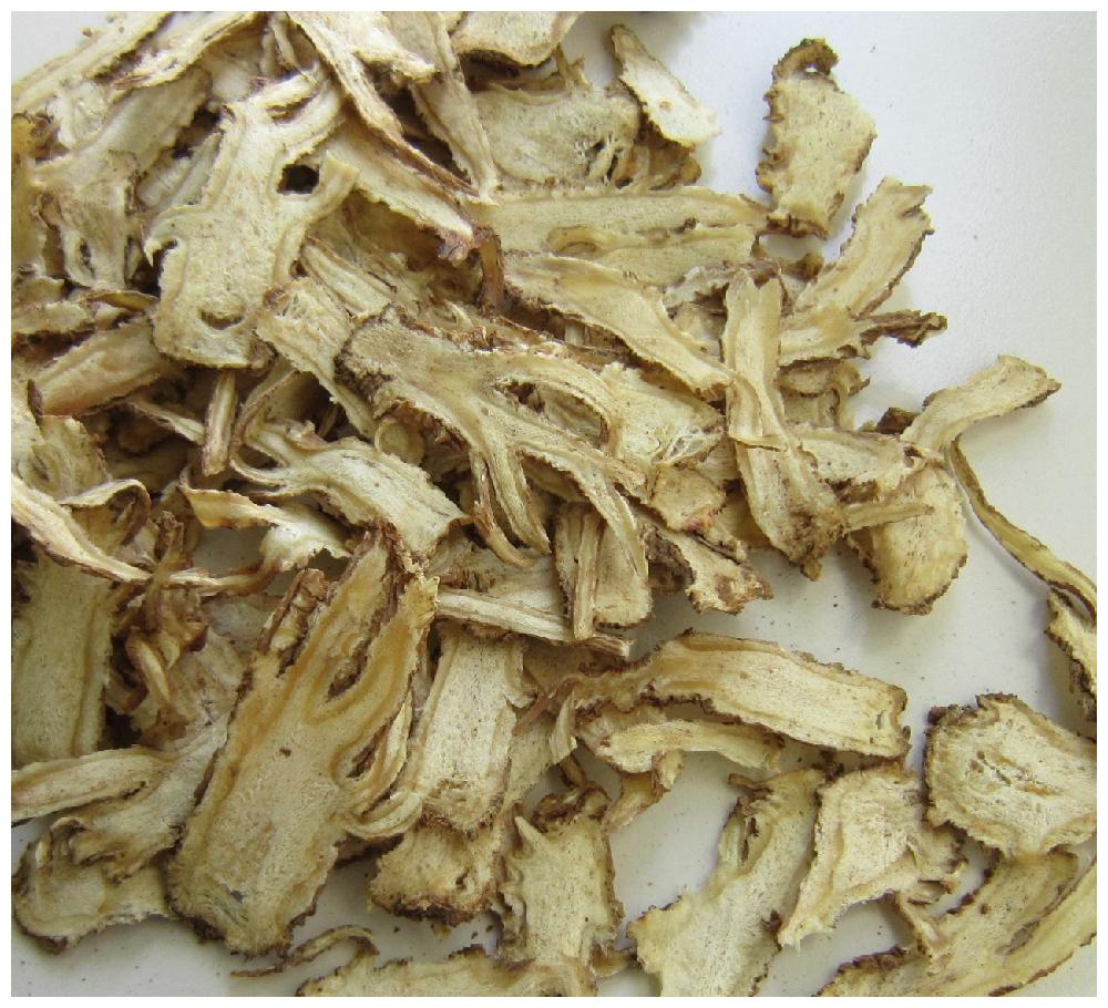 鲜当归如何吃 鲜当归的食用方法|当归|食用方法|羊肉_新浪新闻