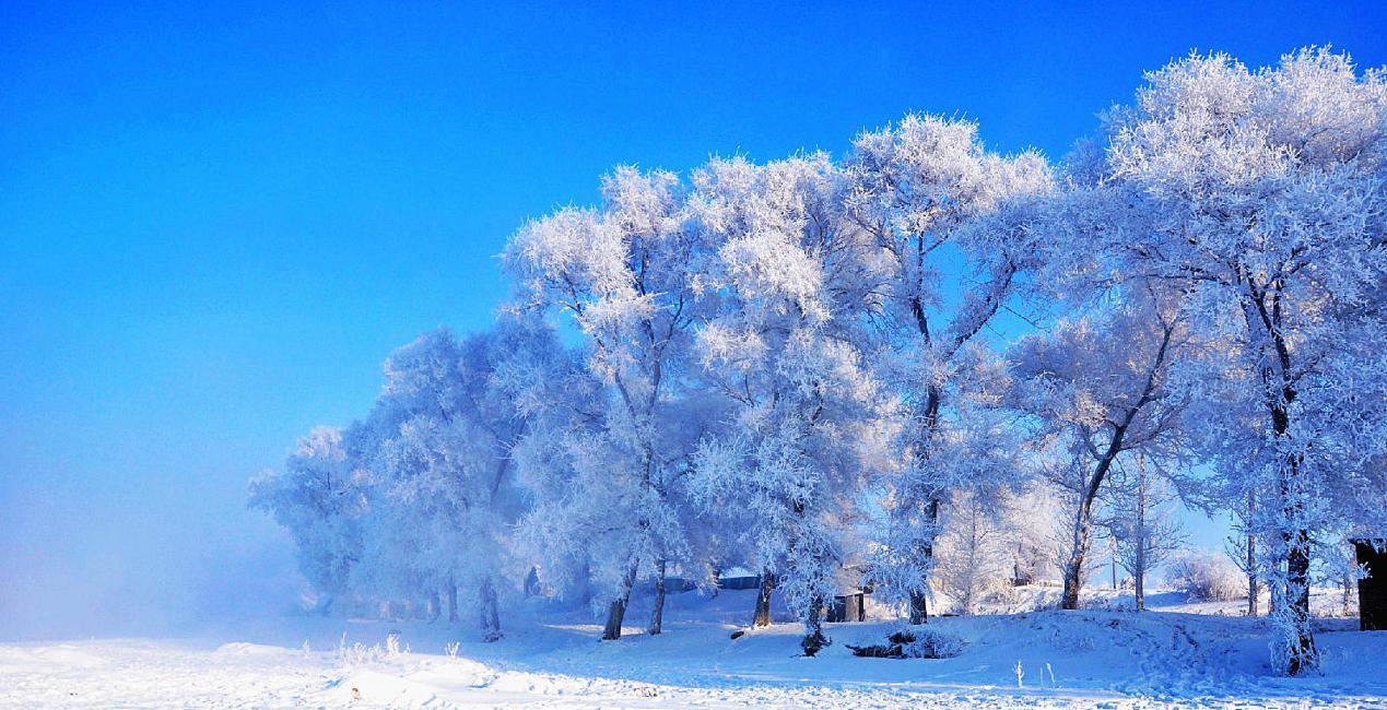 全国四大“雾凇”奇观:黑土地孕育出的冰雪世界,冬天必去!|雾凇|黑土地|雾凇岛_新浪新闻