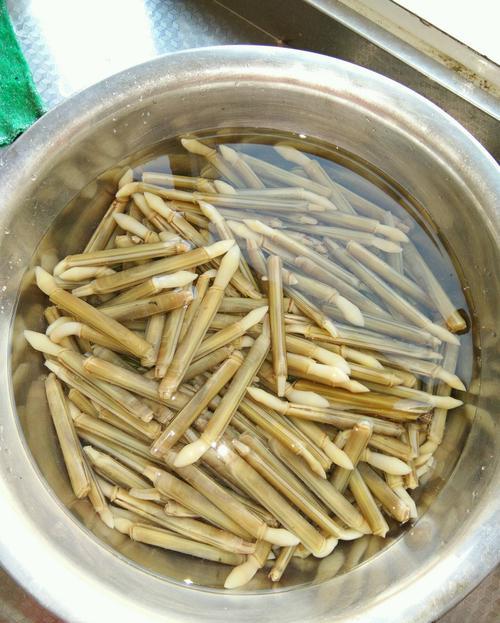 要在潮水落到最低位置前的两个小时左右开始,每只蛏子都需要仔细观察