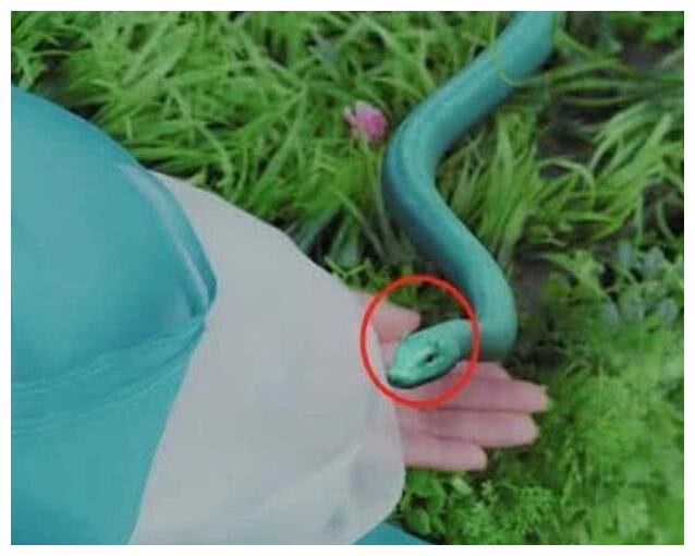 为何法海的禅杖对小青没用?看到青蛇的原形,网友:又是一段孽