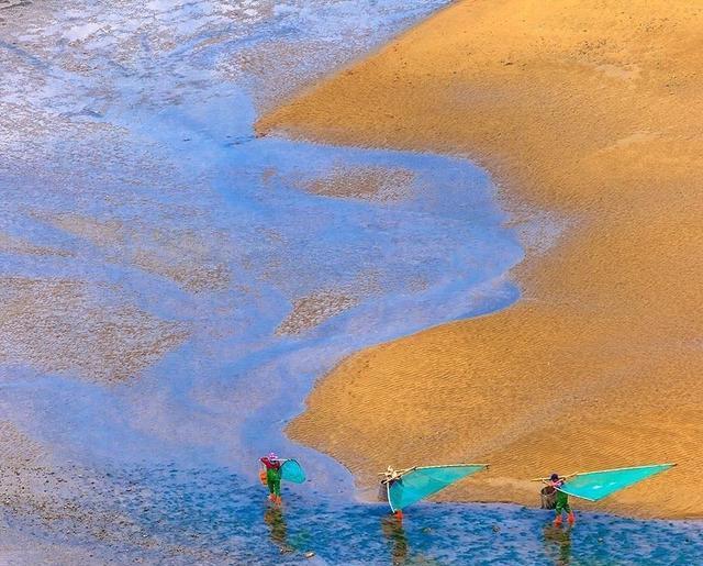 仅凭几张照片,就让无数人趋之若鹜|滩涂|霞浦|海岸线_新浪新闻