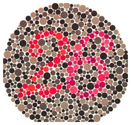 给出4张色盲图,前3张看不出无法学车,能看出最后一张才厉害