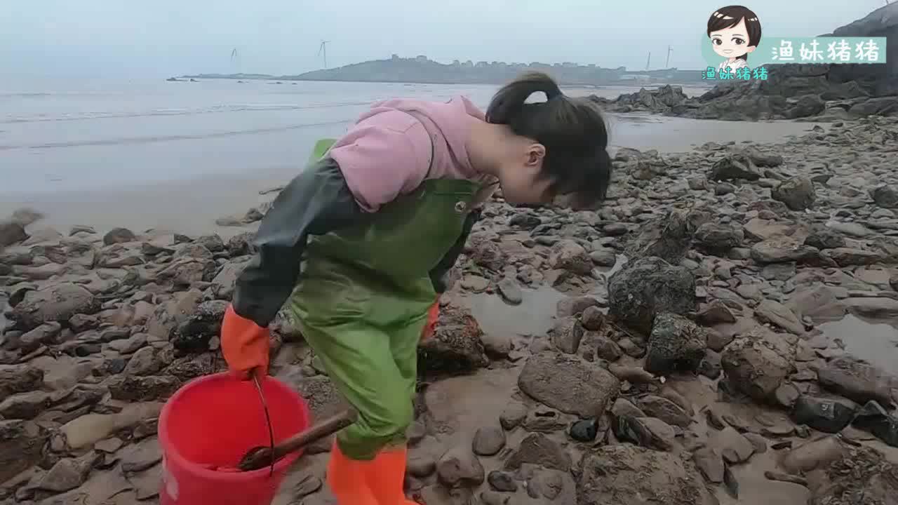 猪猪发现大水坑就兴奋就算天黑也要舀干底下的大货让人羡慕