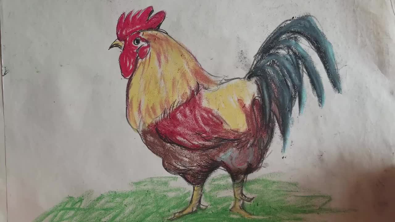 画一只冷暖色的大公鸡图片