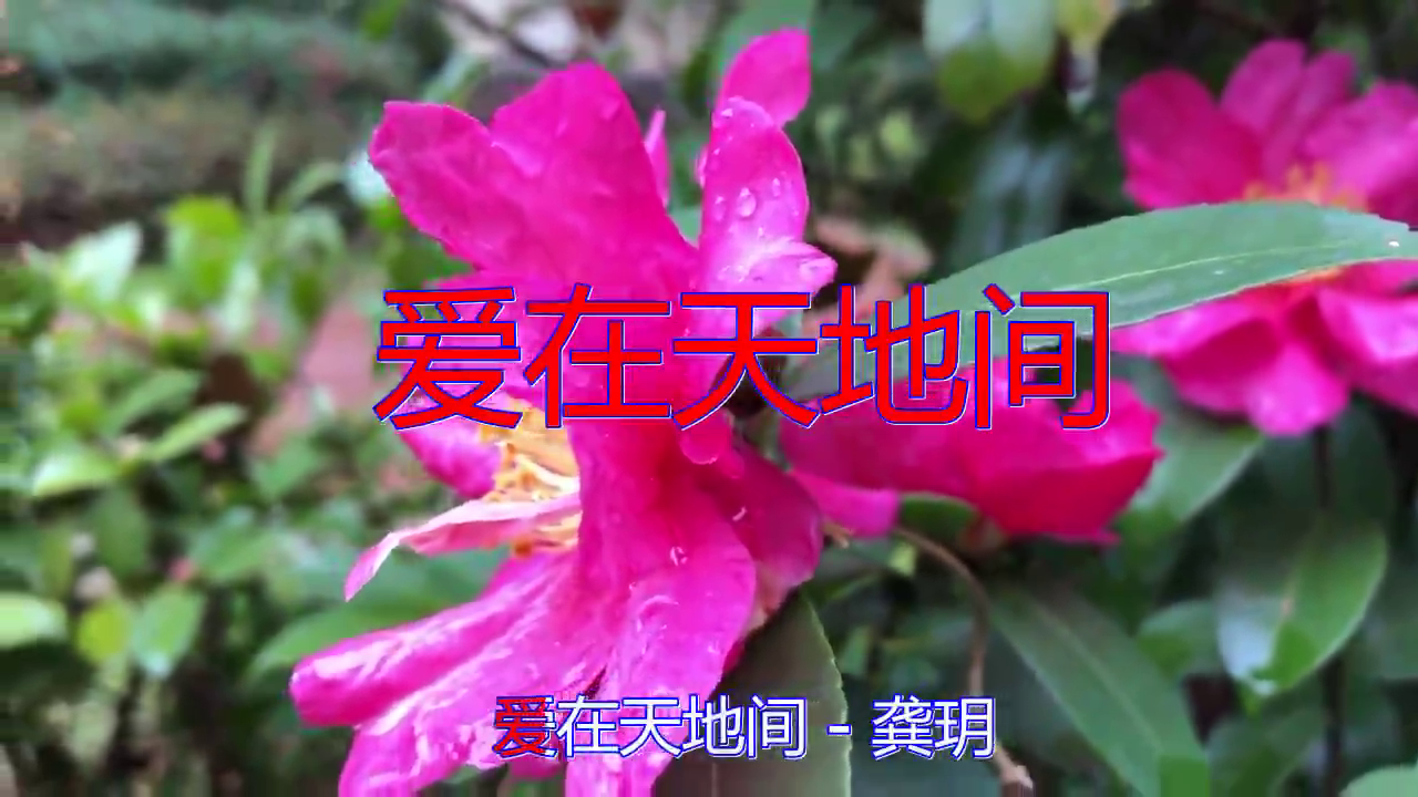 龚玥的一首《爱在天地间》,超治愈的声音,超好听