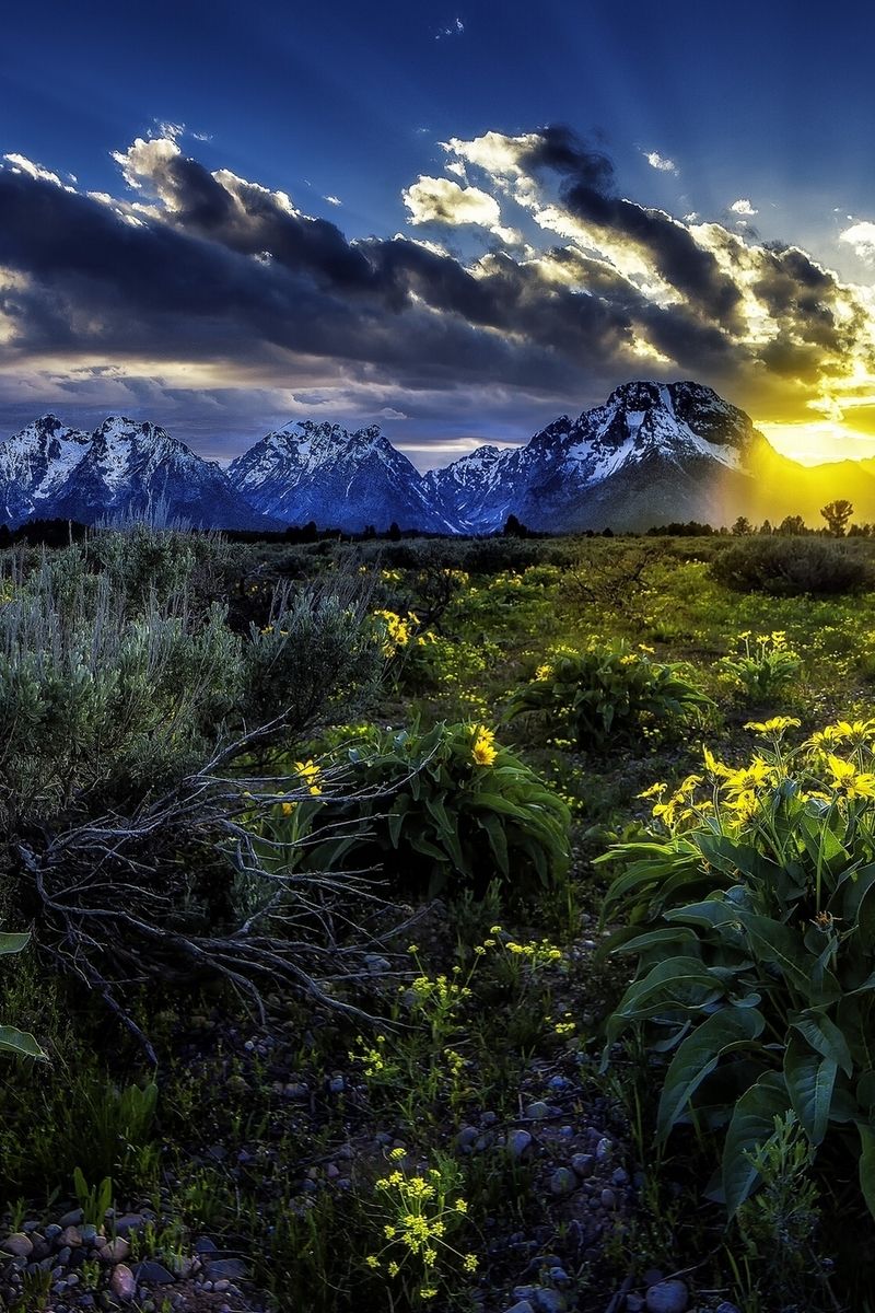 山水美如画2k高清手机壁纸风景篇