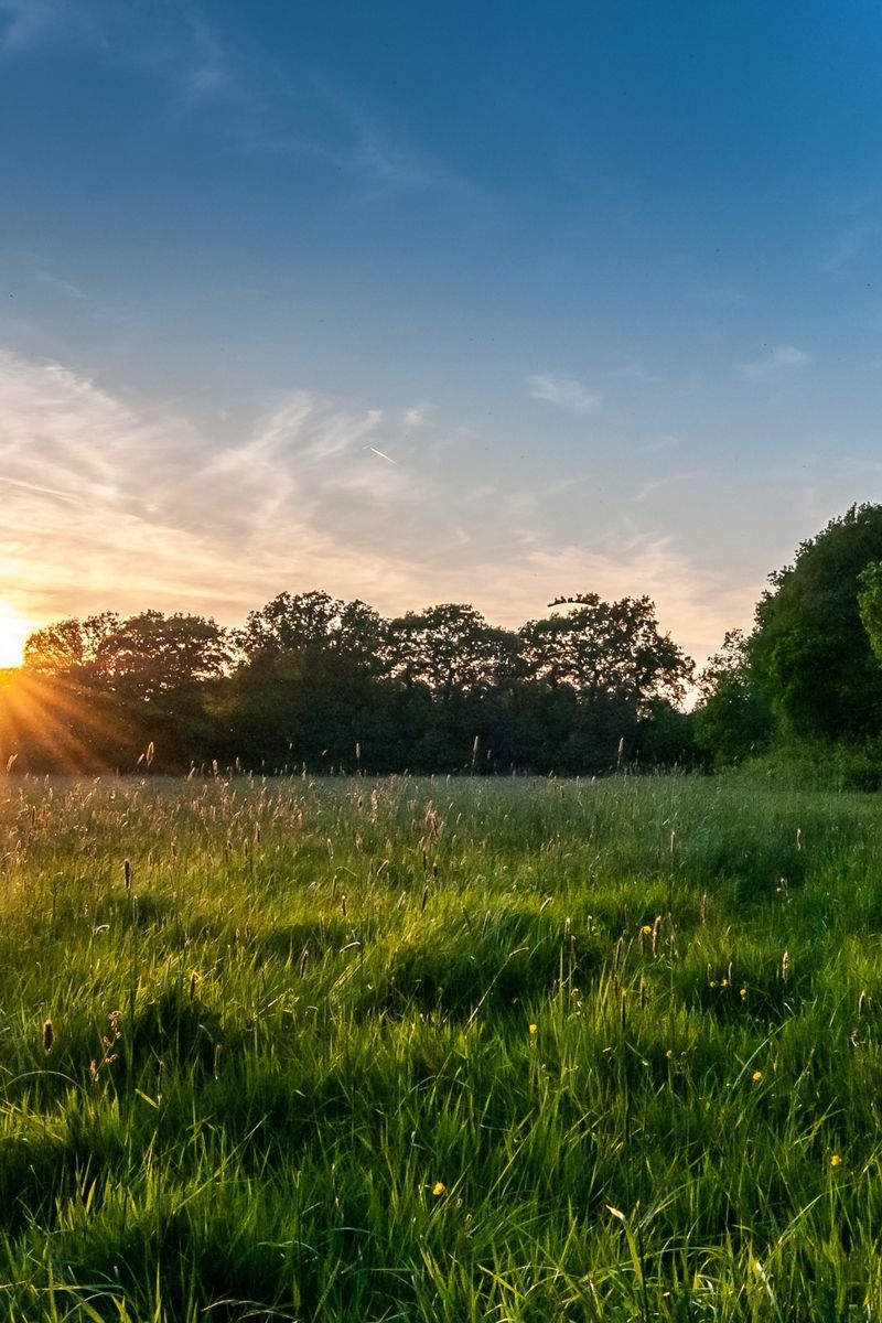 山水美如画2k高清手机壁纸风景篇