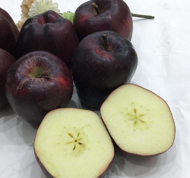 稀有的西藏"黑钻苹果",一颗售价150元,到底贵在哪里?