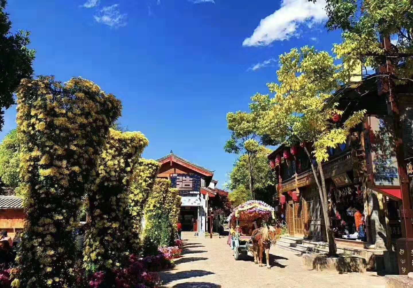 广东丽江在哪里 _丽江在哪里-第2张图片-潮百科