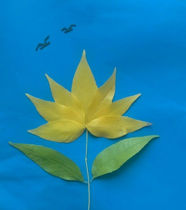 唯美的创意手工diy树叶贴画之一枝金色的菊花