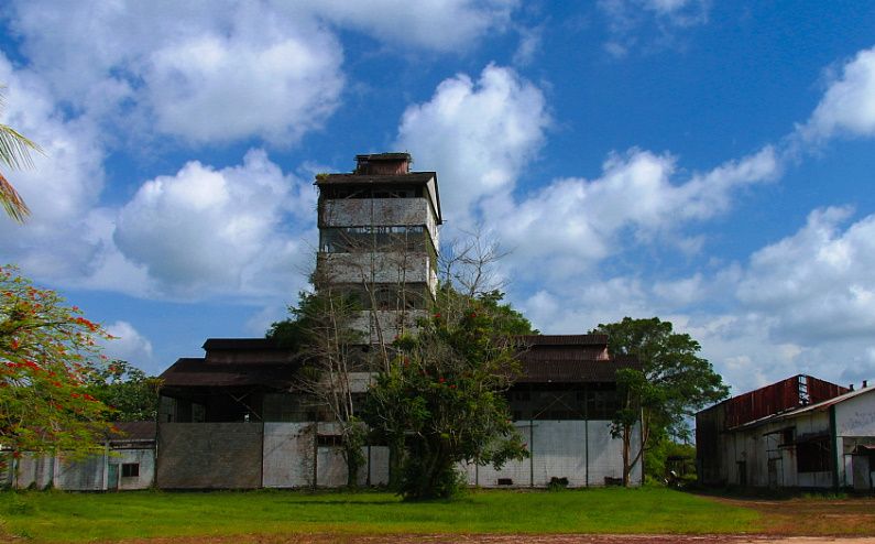苏里南共和国(the republic of surinam)位于南美洲北部,面积16.