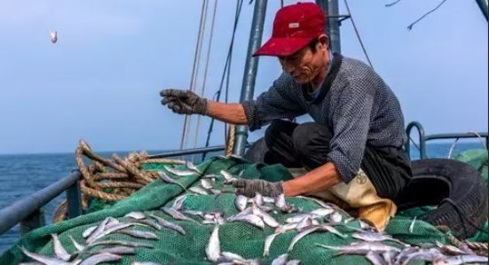 海边渔民的捕鱼生活,在大海中谋生,感受不一样的劳动之美